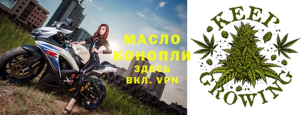 первитин Няндома
