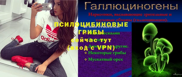 винт Нягань